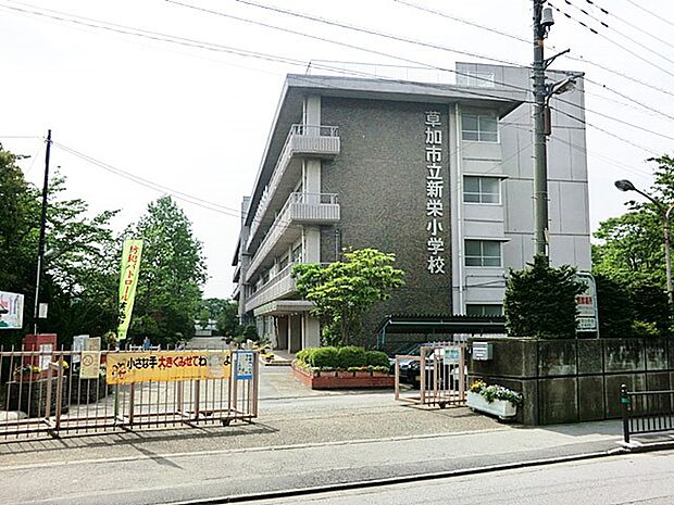 草加市立新栄小学校（約828m）