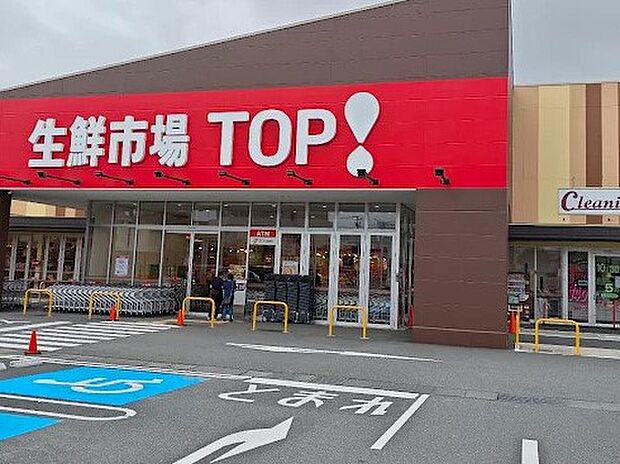 生鮮市場TOP 松戸古ヶ崎店(約300m・徒歩4分)