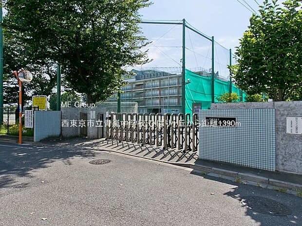 西東京市立青嵐中学校(約1,390m・徒歩18分)