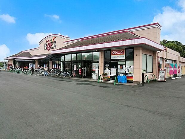 ベルクス岩槻城北店(約800m)