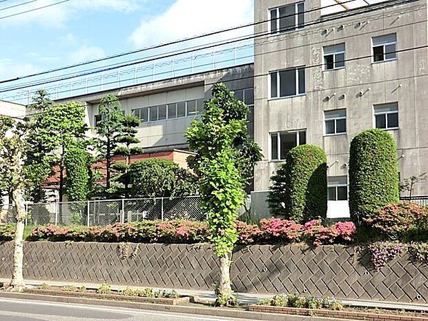 柏市立松葉中学校(約1,200m)