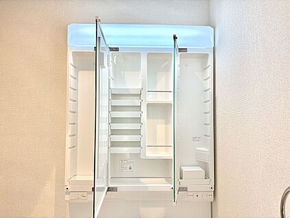 その他設備(三面鏡裏収納)