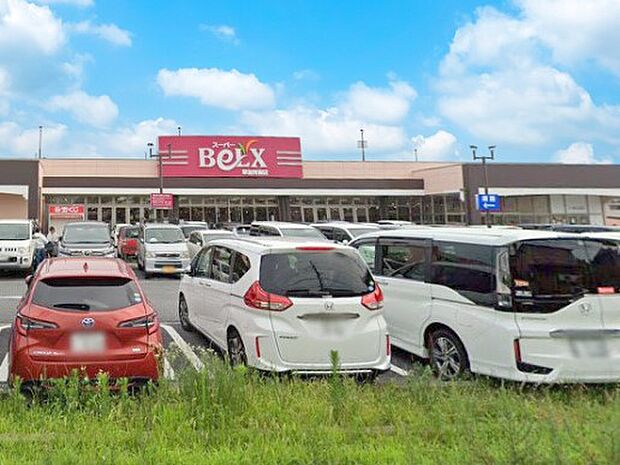 ベルクス草加青柳店（約600m）