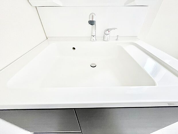 【その他設備(ハンドシャワー水栓)】ハンドシャワー付き！使いやすい洗面台。