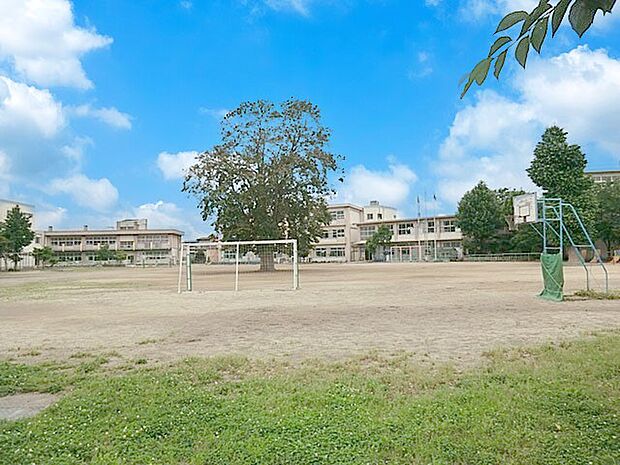 宮代町立須賀小学校（約950m）