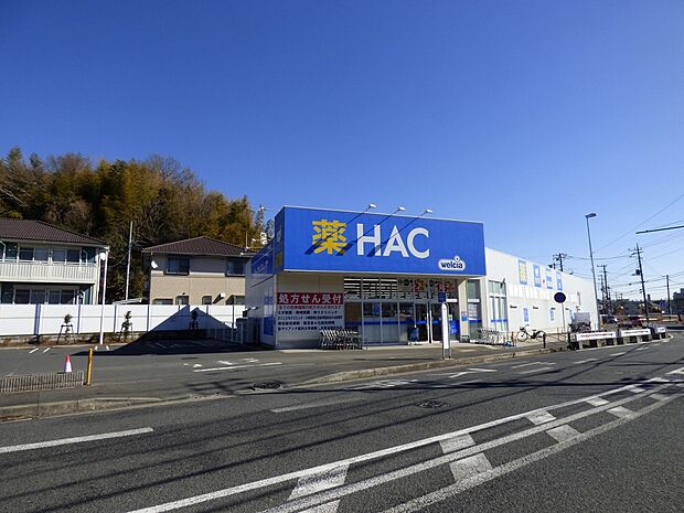 HACドラッグ下麻生店(約350m・徒歩5分)