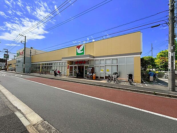 ヨークマート港北店（約800m・徒歩10分）