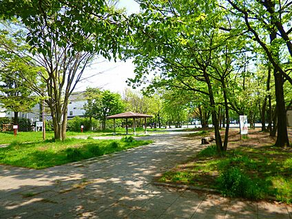 東高根森林公園 180m