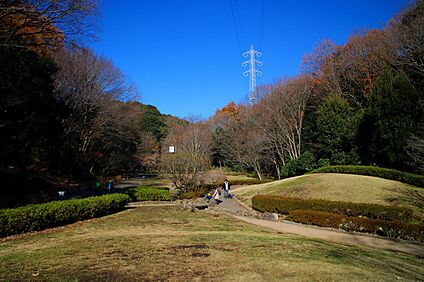 東高根森林公園 260m(4分)