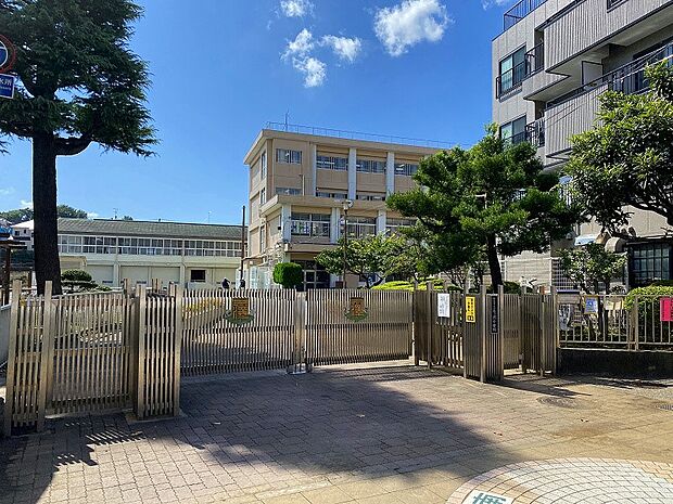三ツ沢小学校(約750m)