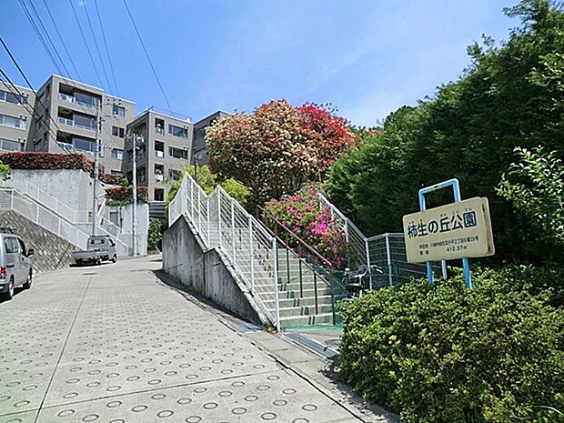 柿生の丘公園(約600m・徒歩8分)