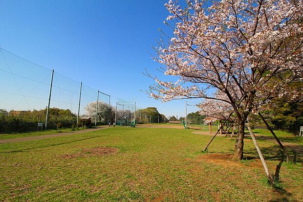 たちばなふれあいの森(高津区市民健康の森) 春日台公園(約400m)