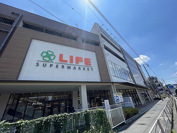 ライフ溝口店(約800m)