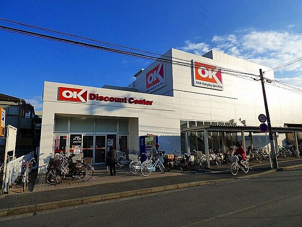 オーケー日吉店(約800m)