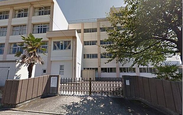 多賀城八幡小学校(約700m)