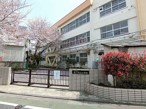 江戸川区立第二松江小学校(約230m)