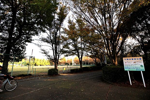 千間台第四公園（約700m）