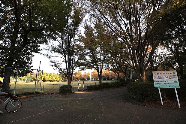 千間台第四公園（約300m）