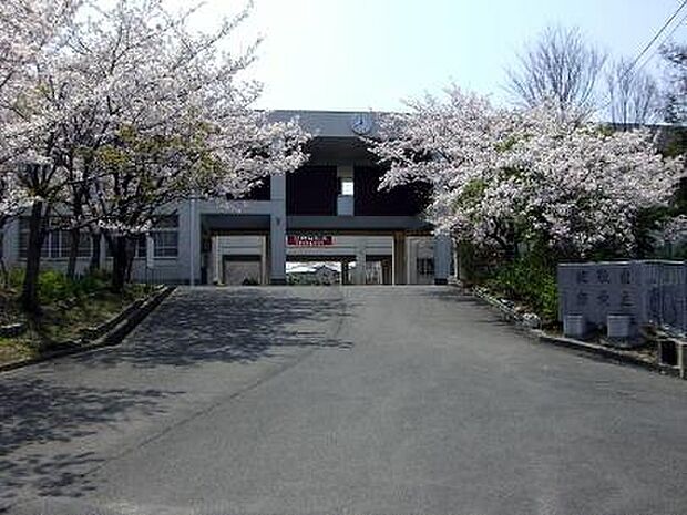 桜台中学校