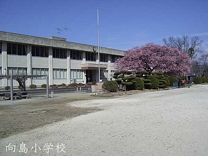 京都市立向島小学校 徒歩443m
