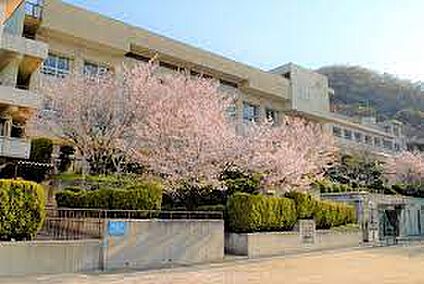 柏原市立堅下南中学校 徒歩1200m