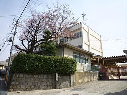 藤井寺市立道明寺小学校 徒歩750m