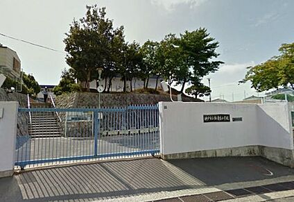 神戸市立鈴蘭台小学校 徒歩560m