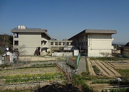 斑鳩町立斑鳩中学校 徒歩1500m