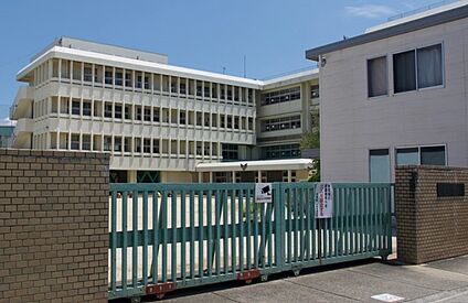 大和高田市立浮孔小学校 徒歩250m