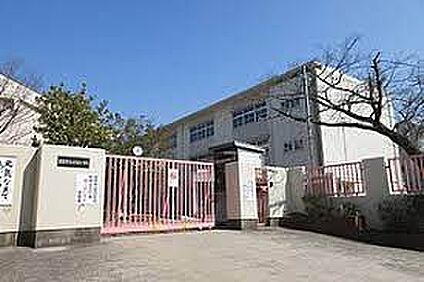 泉佐野市立末広小学校 徒歩800m