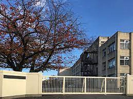 羽曳野市立河原城中学校 徒歩1200m