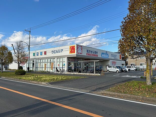 ウエルシア（約350m）