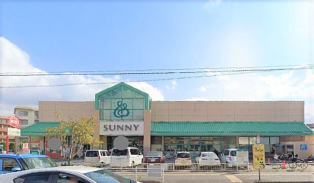 サニー向新町店（約1,400m）