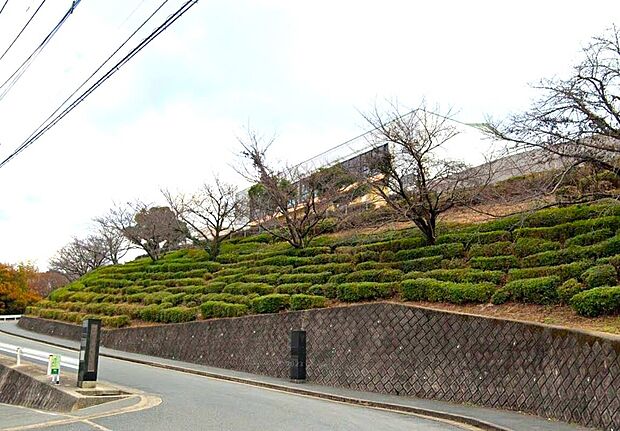 大野城市立平野中学校（約1,800m）