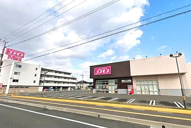 ドラッグストアコスモス酒殿店（約500m）