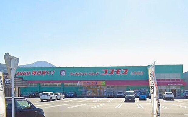 ドラッグストアコスモス上曽根店（約711m）