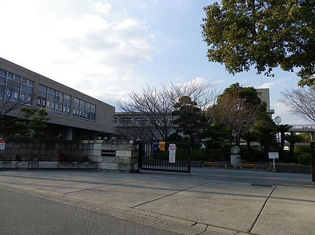 加古川市立加古川中学校（約710m）