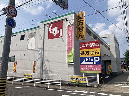 スギ薬局 小牧新町店 約1190m(徒歩約15分　自転車約5分)