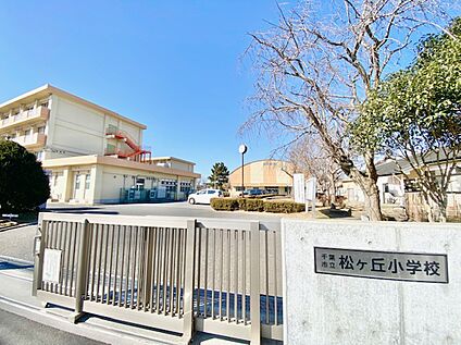 千葉市立松ケ丘小学校 550ｍ