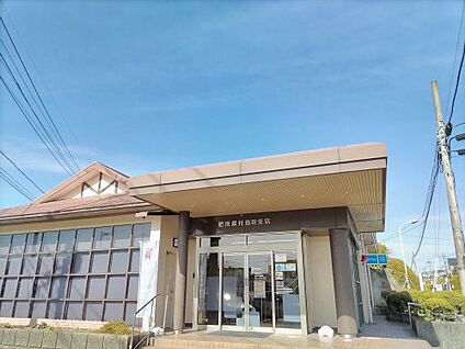 肥後銀行池田支店 徒歩800m