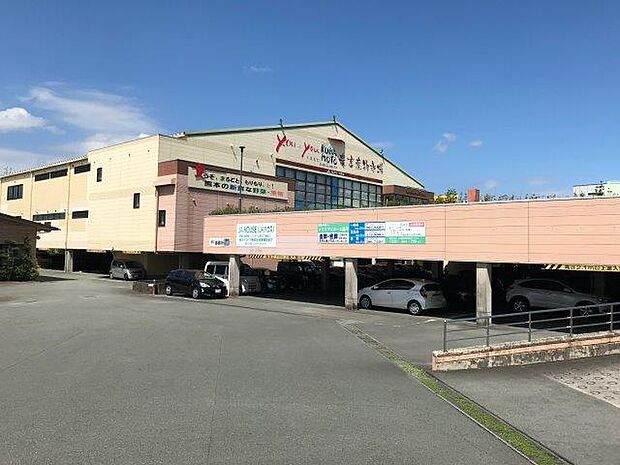 you・youくまもと