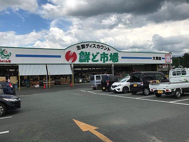 鮮ど市場 大津店