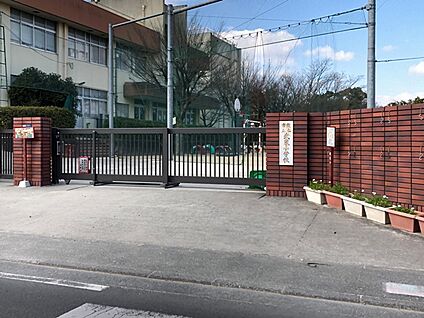 熊本市立 武蔵小学校 徒歩495m