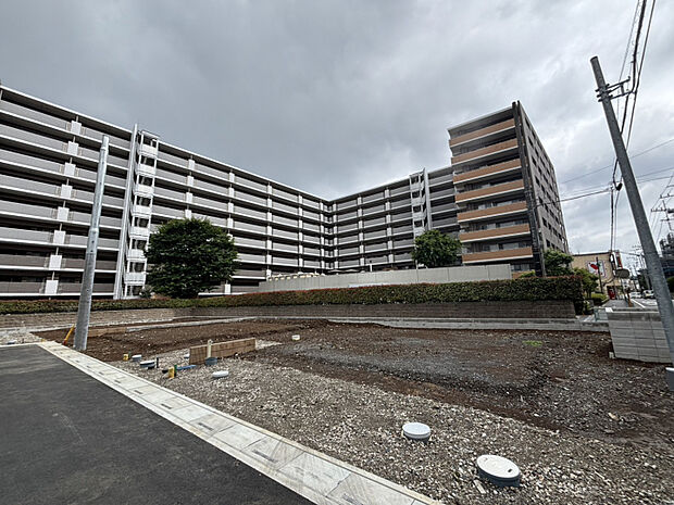 現地写真(2026.6.19)