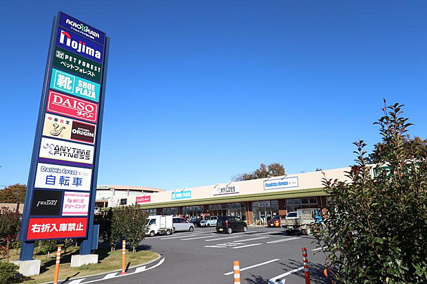 アクロスプラザ東久留米（約550m）