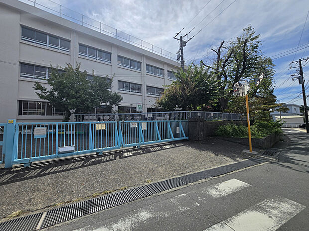 逗子市沼間小学校（約2,100m）