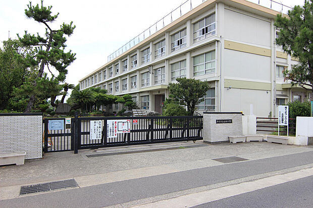 平塚市立金田小学校（約1,100m）