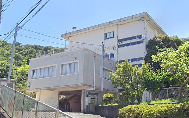 鎌倉市立今泉小学校（約1,100m）