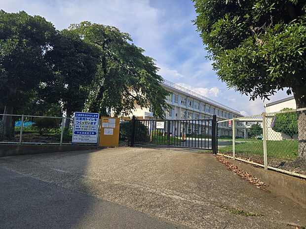 平塚市立南原小学校（約300m）