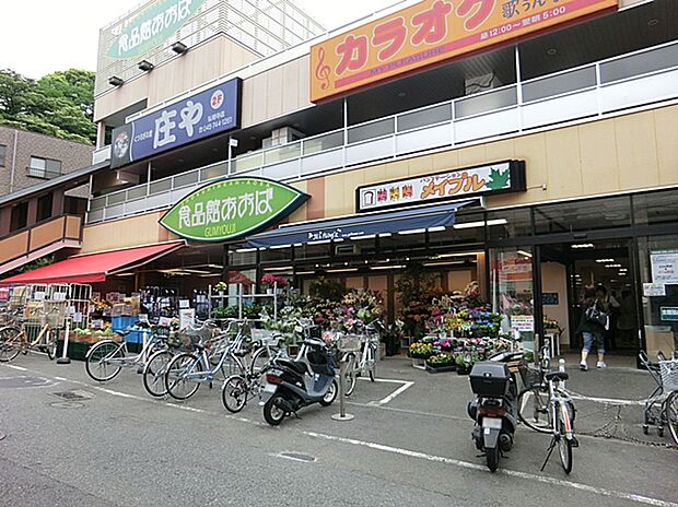 食品館あおば弘明寺店（約500m）